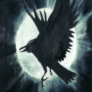 Dark of the Night - Anthology of Shadows