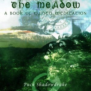 Puck Shadowdrake - Journey from the Meadow - Book of Guided Meditation