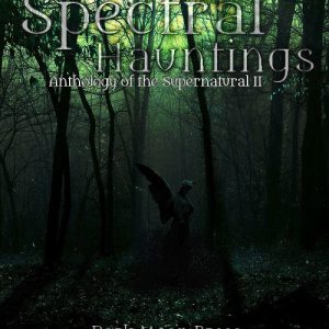 Chase Knightly - Veronica Kegel-Giglio - Carnelian Gray - Pamela Turner - Michael Randolph - Kevin Eads - Mary Genevieve Fortier - Jason Gehlert - Ian Bush and Ron Brown - Spectral Hauntings - Anthology of the Supernatural II