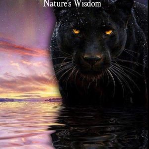 Angel Rae - Walking the Path - Natures Wisdom